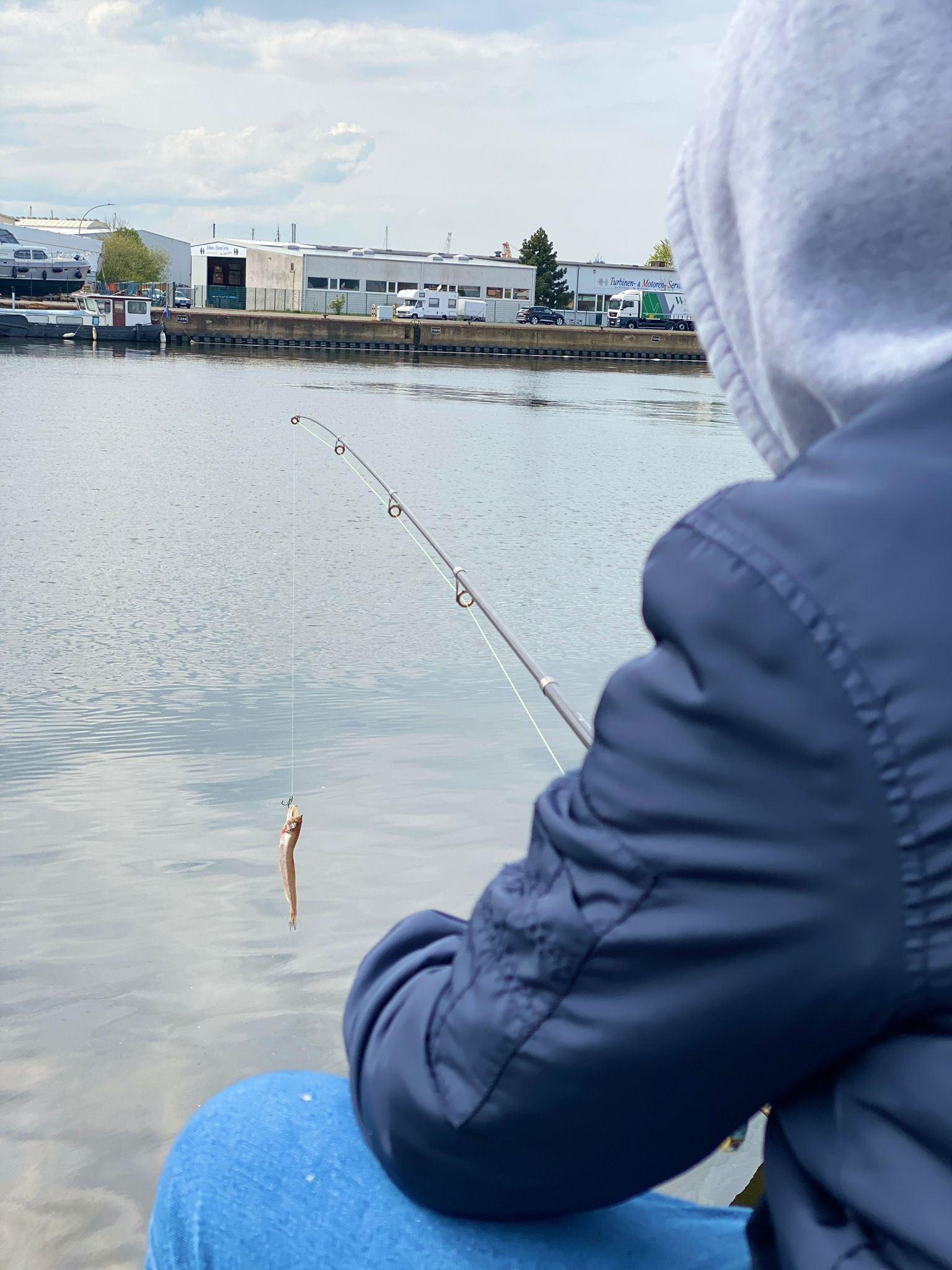 Stint als Köderfisch 200 g