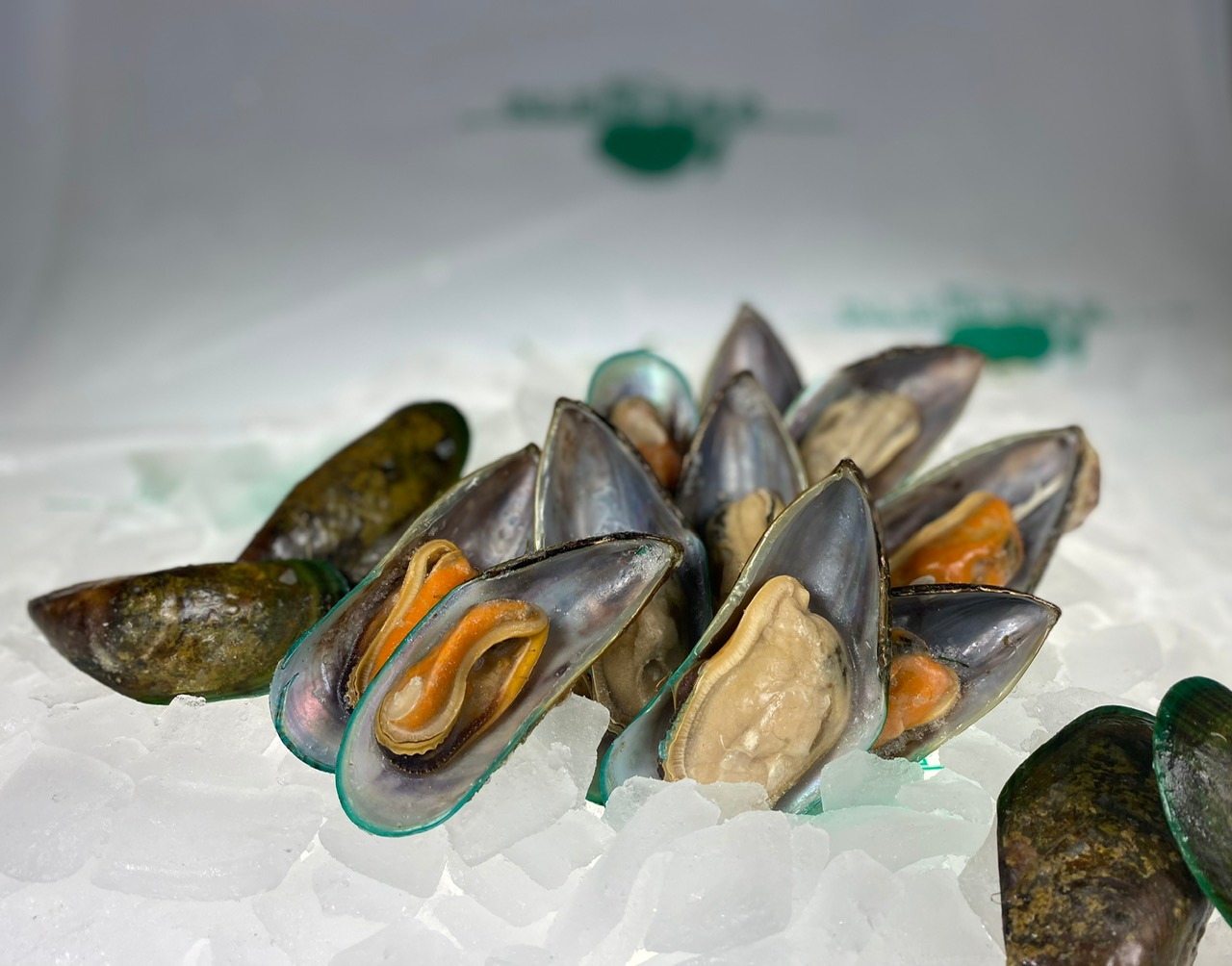 Muscheln-halbe-Schale