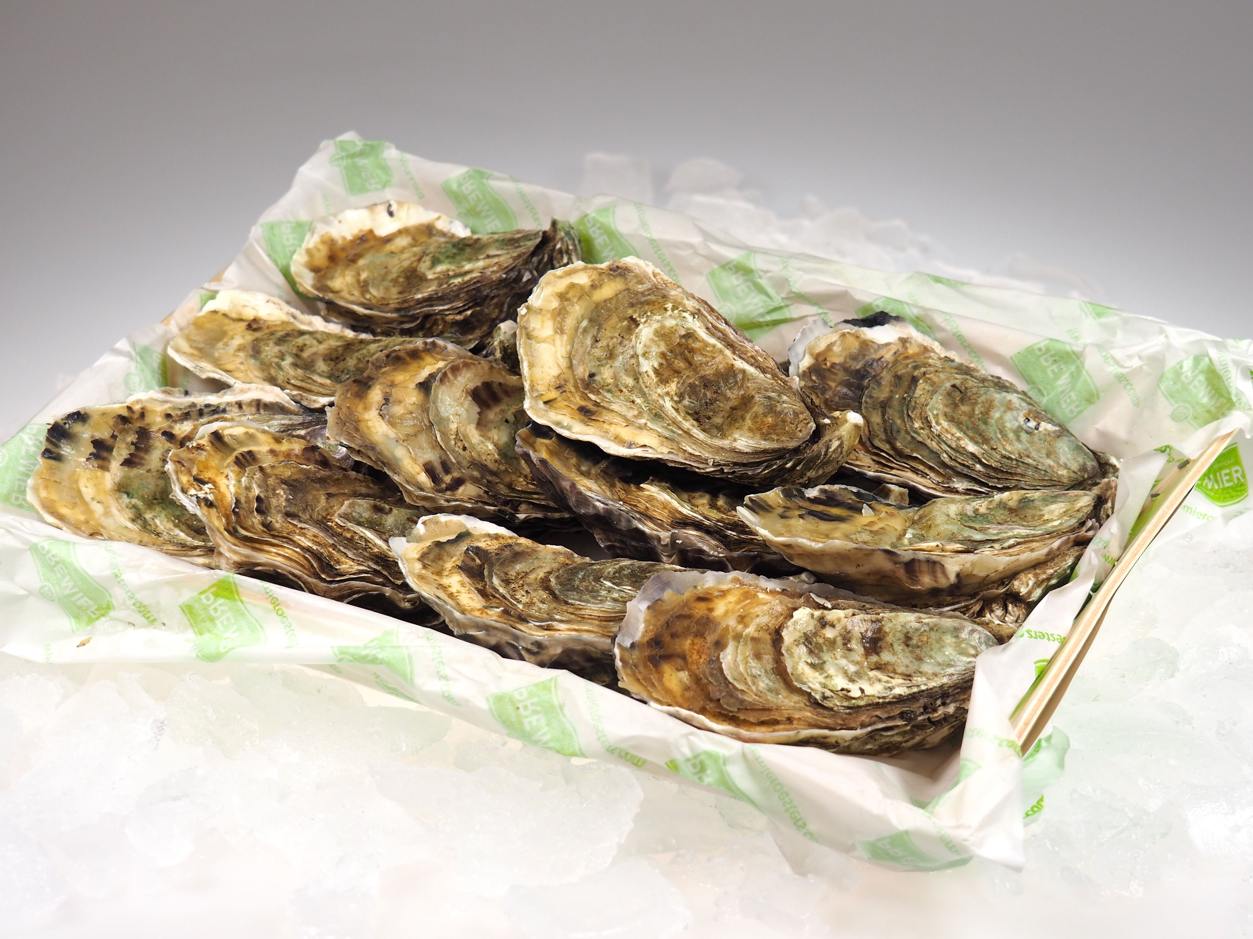 Austern-Felsenaustern Austern Fines de Premier