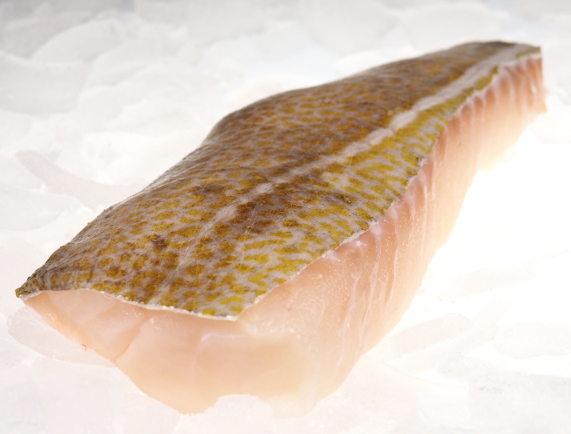 Skrei - Winterkabeljau Rückenfilet