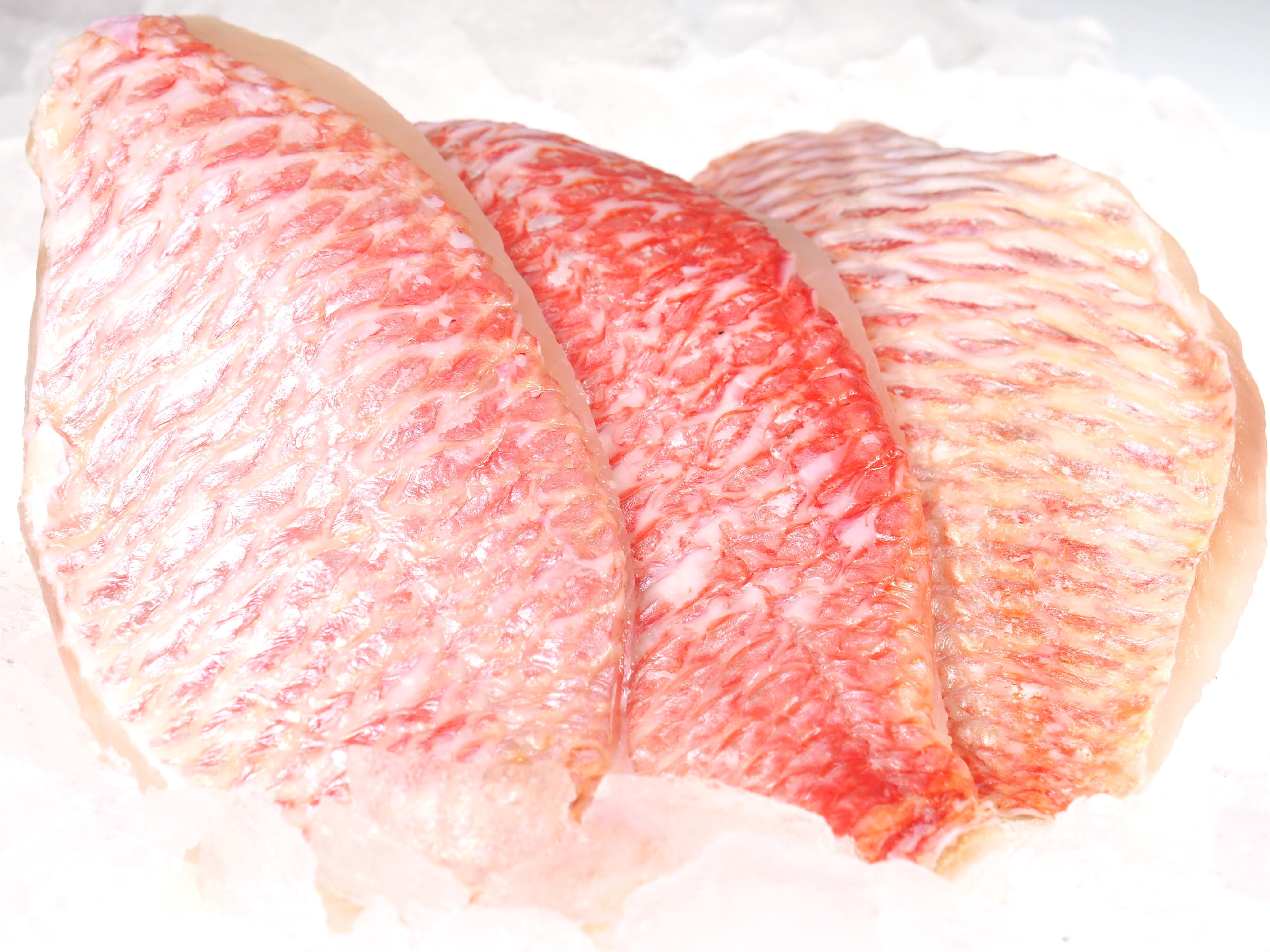 Red Snapper Filet