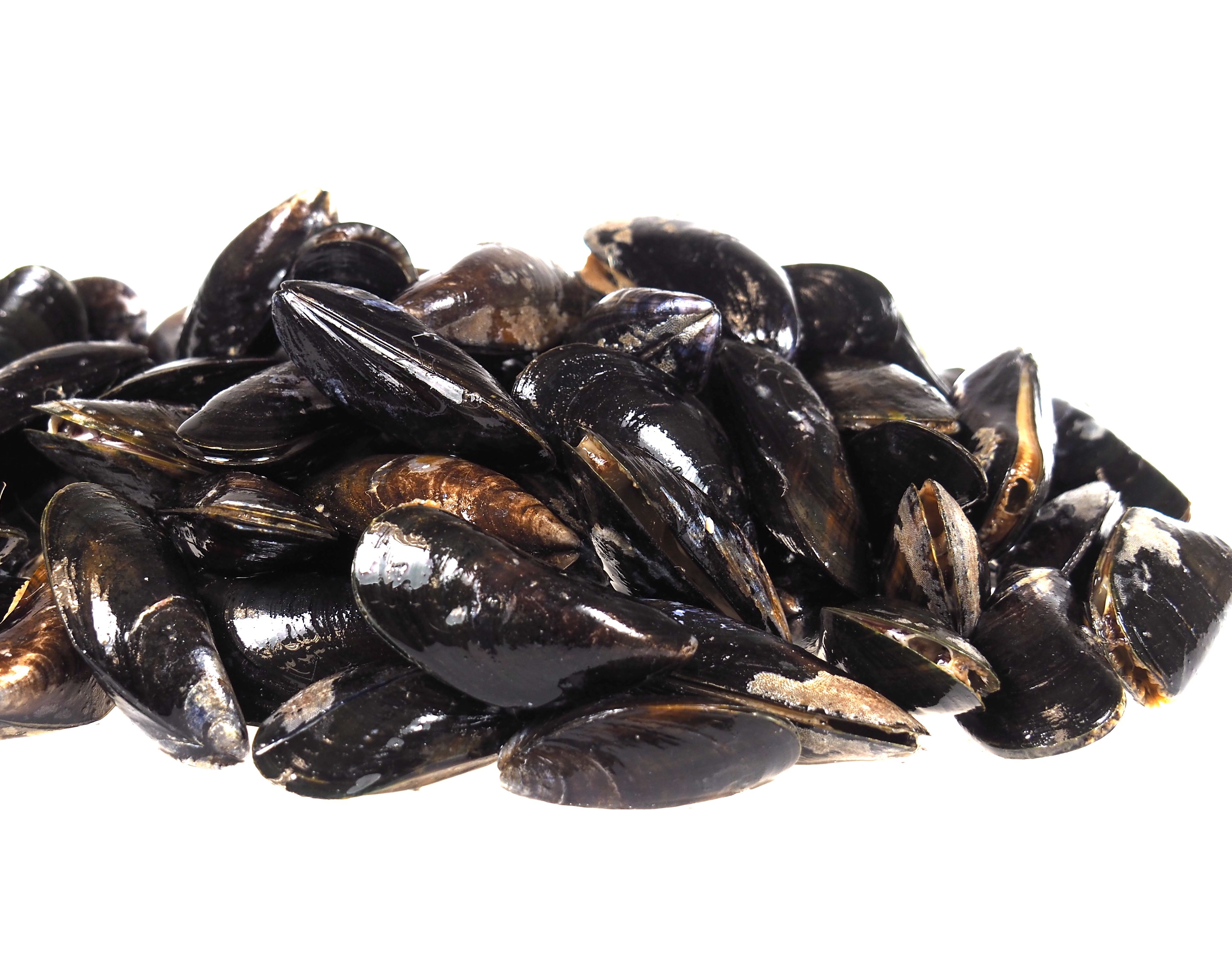 Miesmuscheln 1 kg Paket