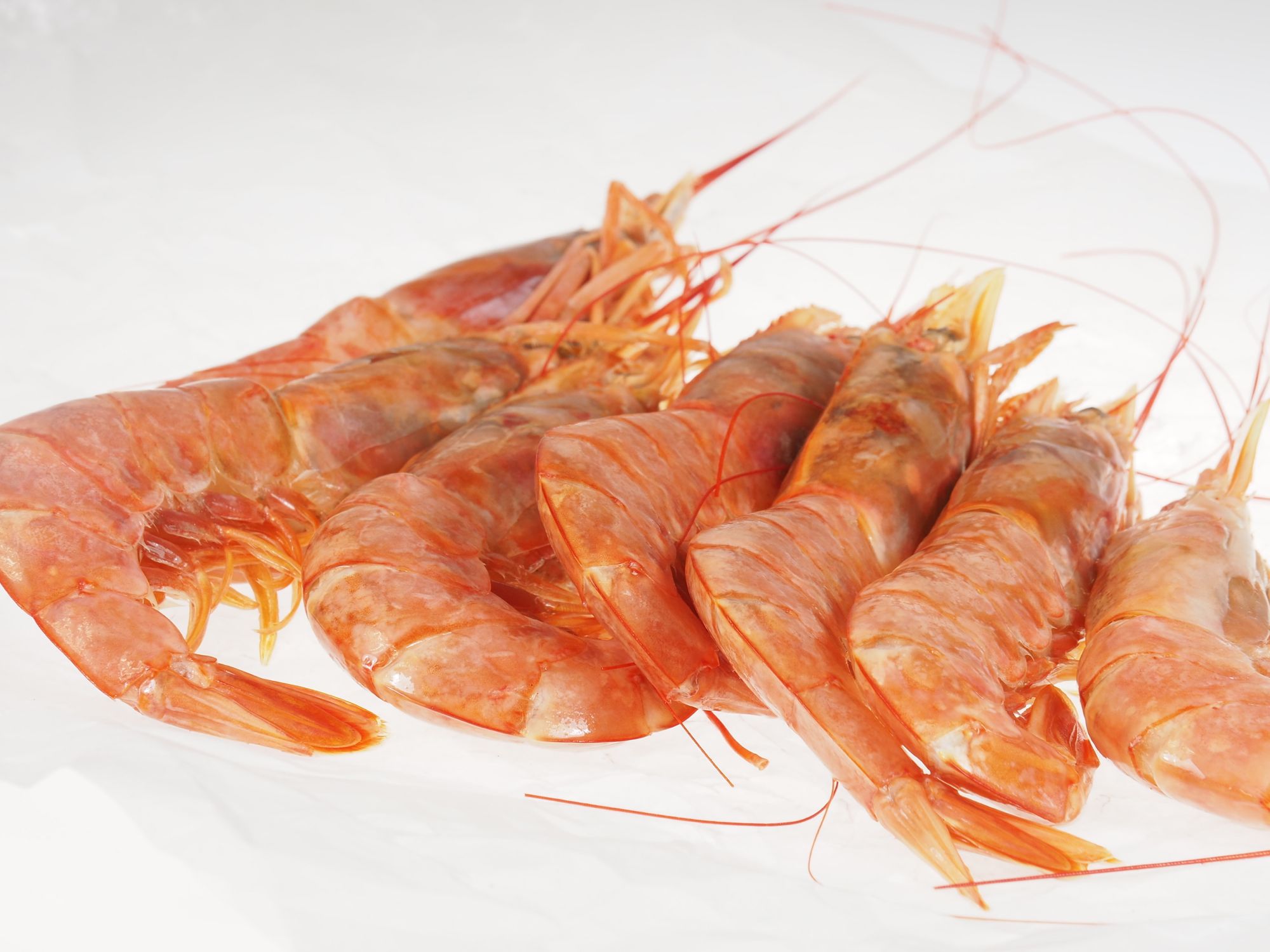 Argentinische-RotgarneleL01TSBjrPQEj0